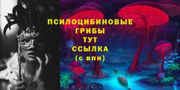 СК Абаза