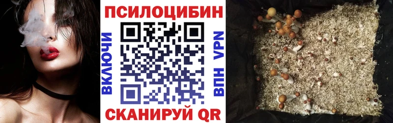 Галлюциногенные грибы Magic Shrooms  Серпухов 